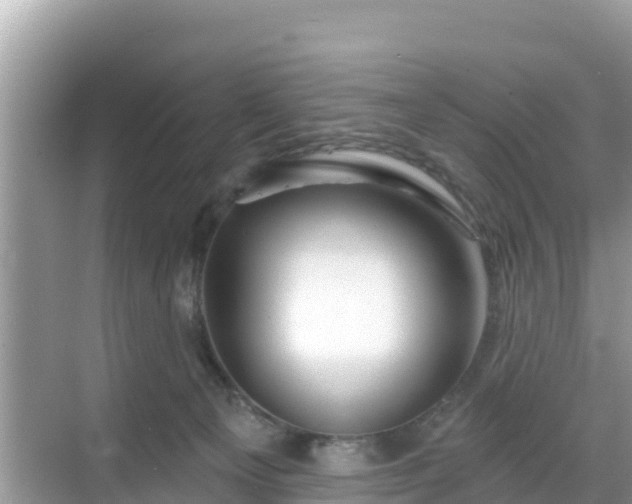 X0000068770129200605051641