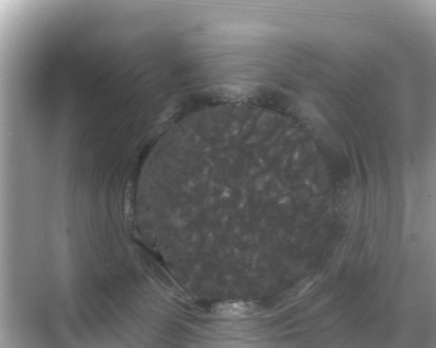 X0000068770131200605051641