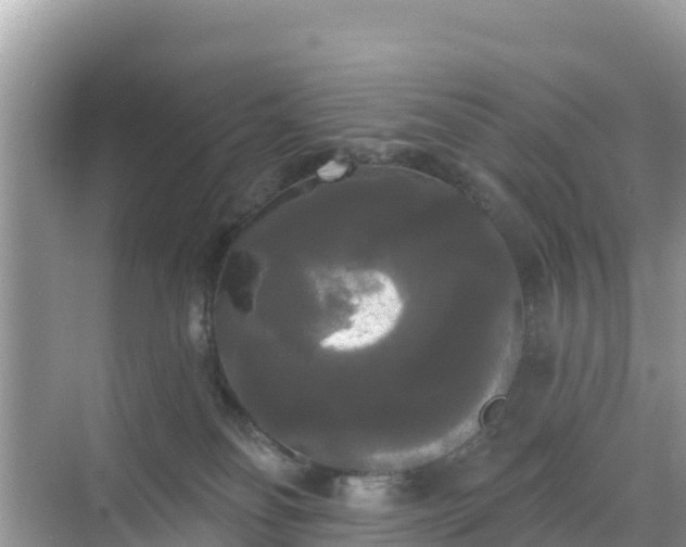 X0000068770134200605051641