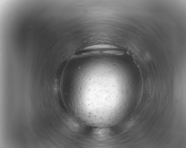 X0000068770135200605051641