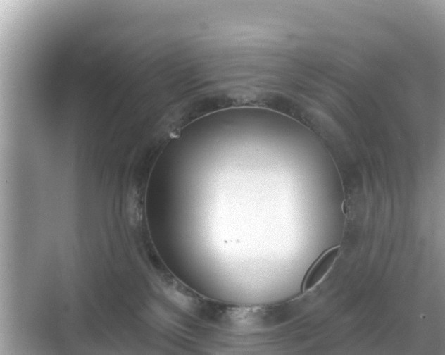 X0000068770136200605051641