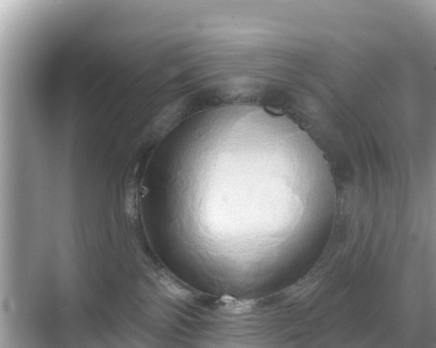 X0000068770138200605051641