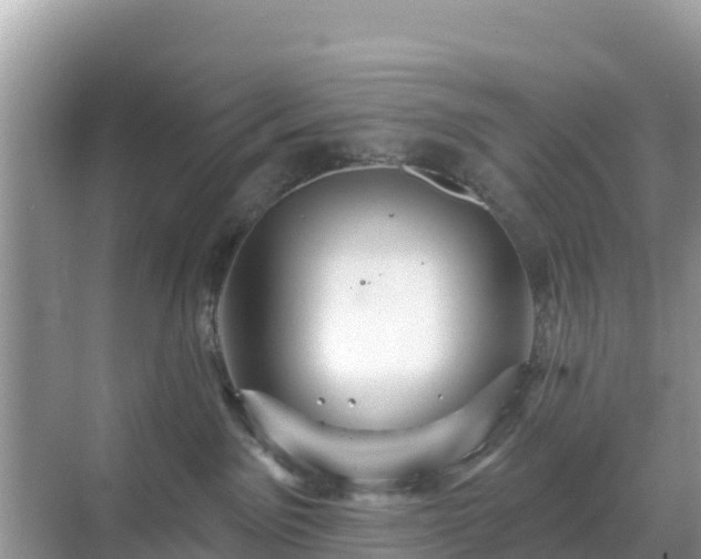 X0000068770141200605051641