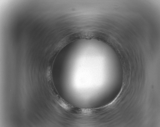 X0000068770144200605051641