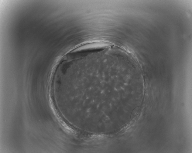 X0000068770145200605051640