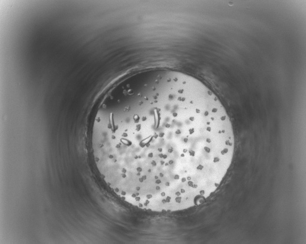 X0000068770146200605051640