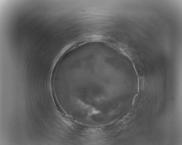 X0000068770147200605051640