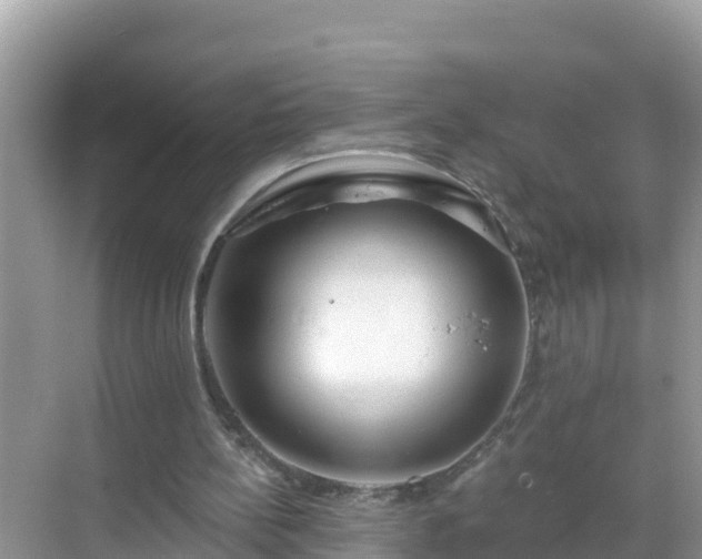 X0000068770148200605051640