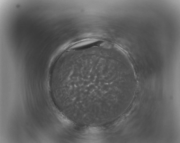 X0000068770149200605051640