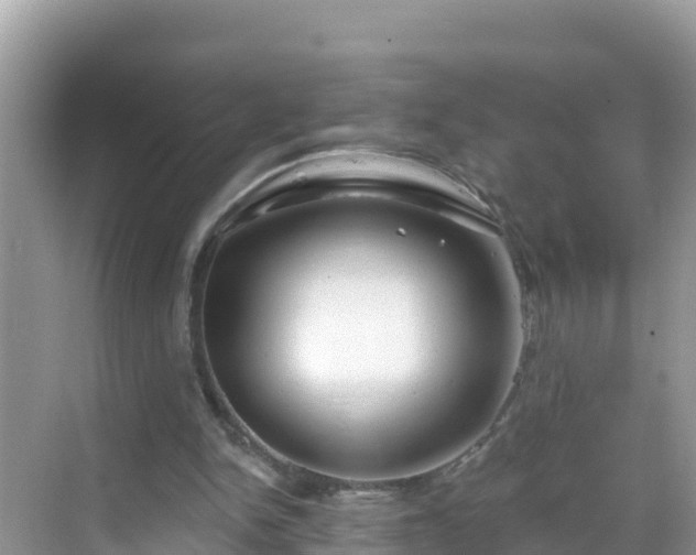 X0000068770150200605051640