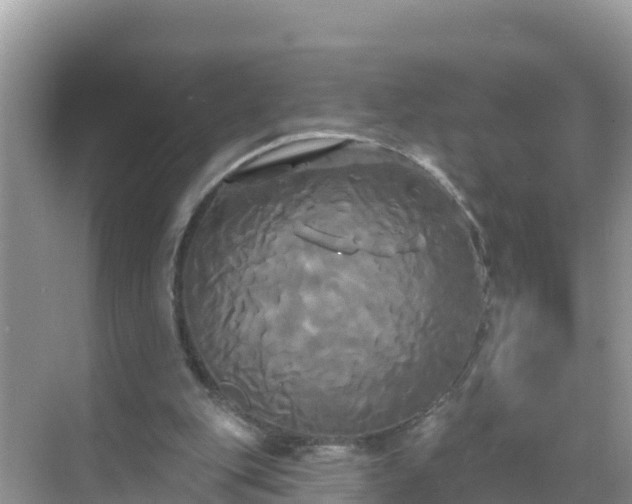 X0000068770151200605051640