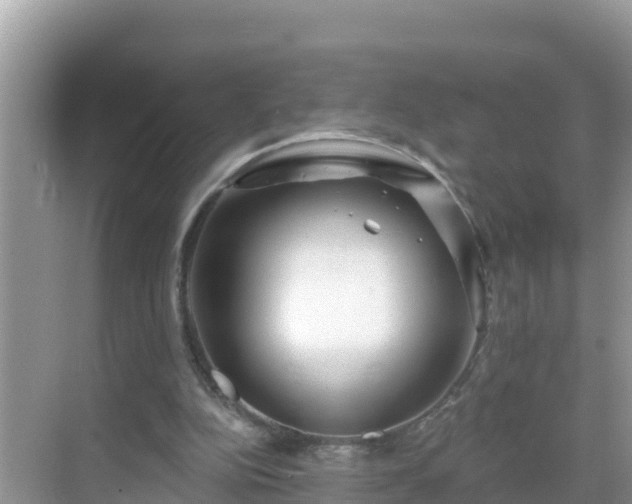 X0000068770152200605051640