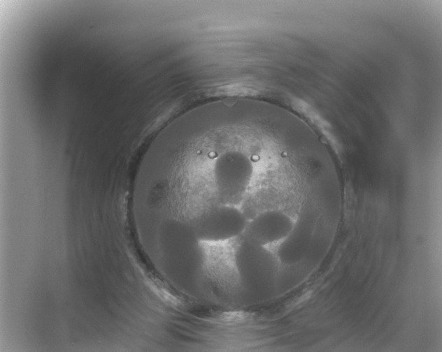 X0000068770153200605051640