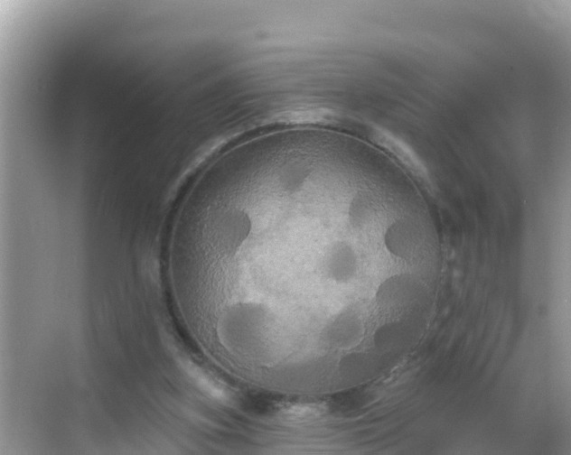 X0000068770155200605051640