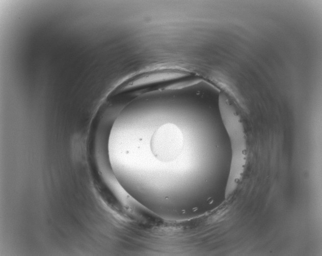 X0000068770156200605051640