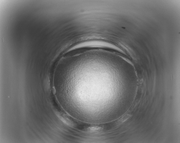 X0000068770158200605051641