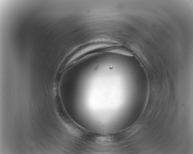 X0000068770160200605051641