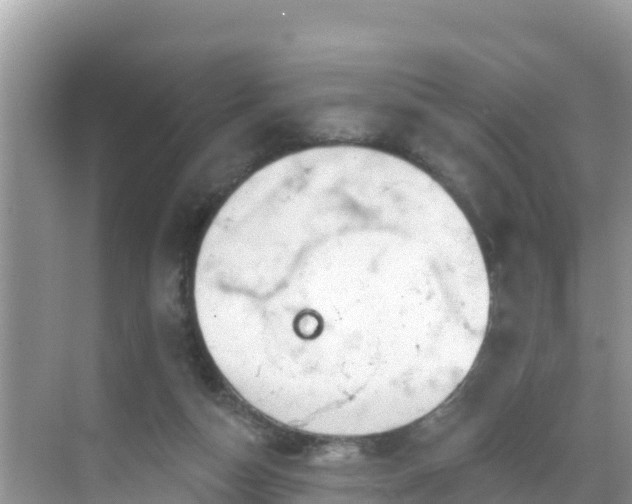 X0000068770162200605051641