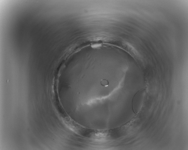 X0000068770163200605051641