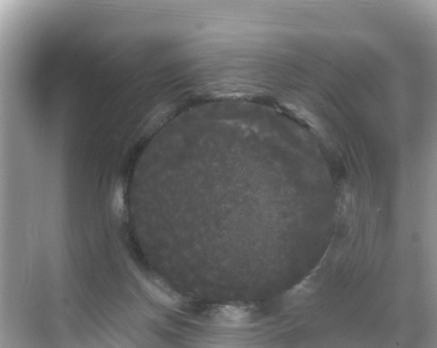 X0000068770166200605051641