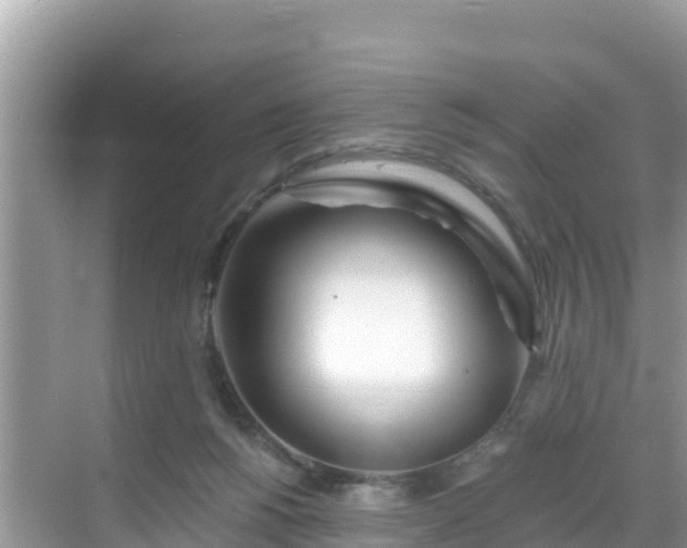 X0000068770168200605051641