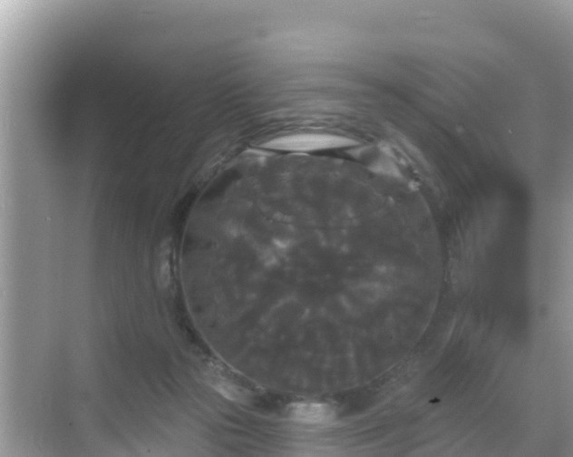 X0000068770169200605051641