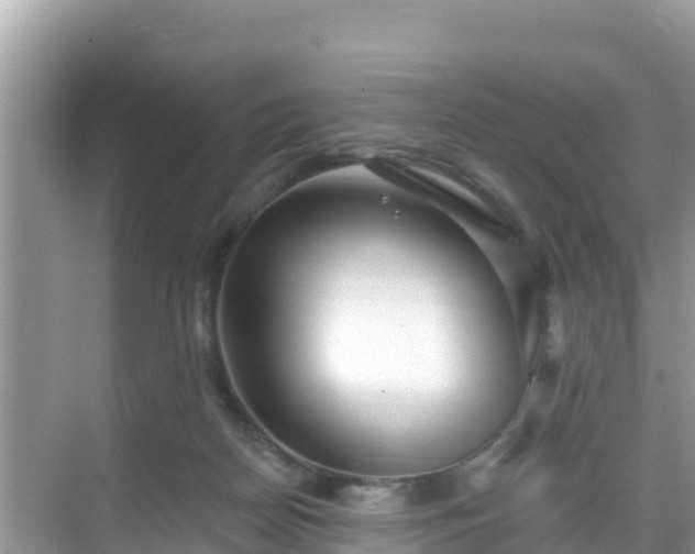 X0000068770170200605051641