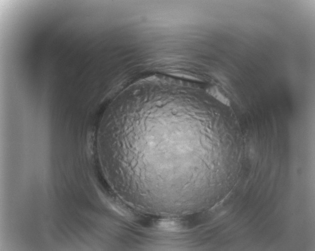 X0000068770171200605051641