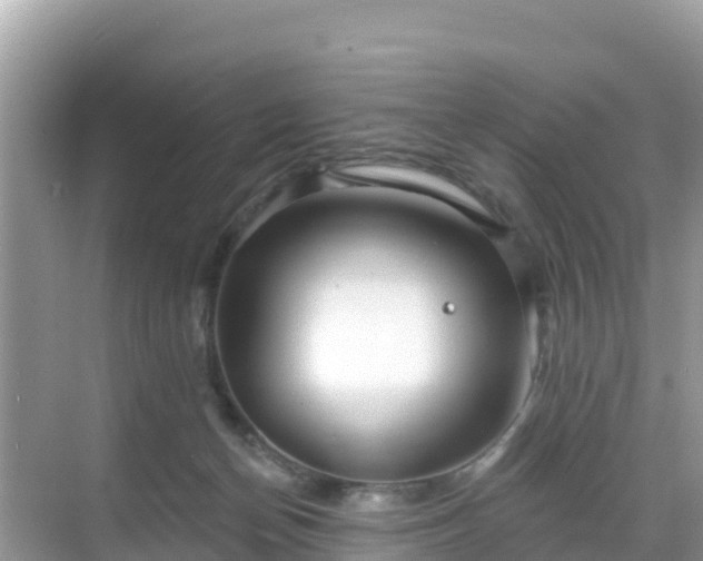 X0000068770174200605051641