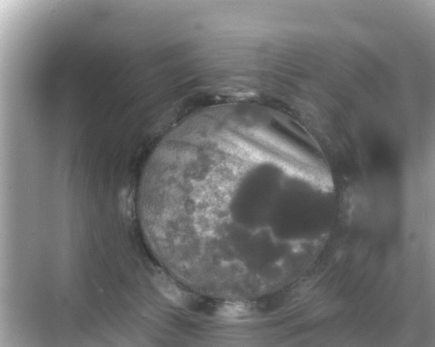 X0000068770177200605051641