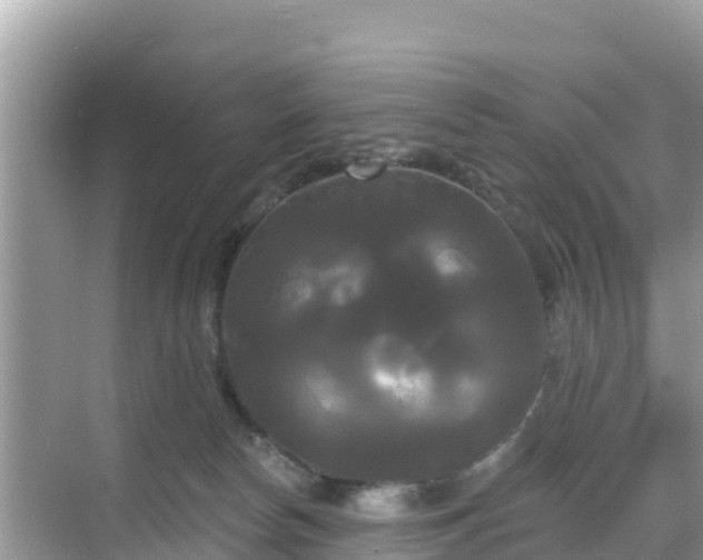 X0000068770178200605051641