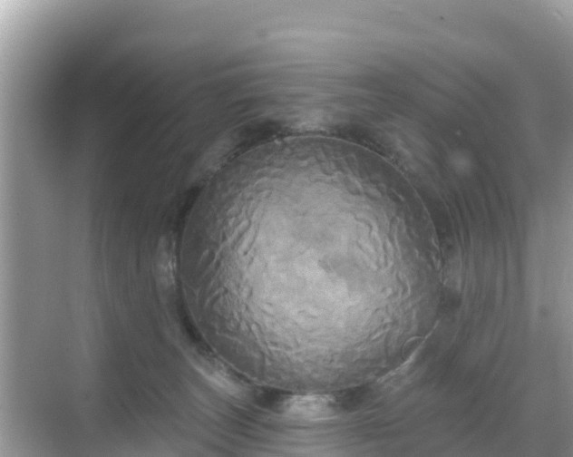 X0000068770179200605051641