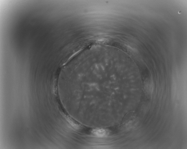 X0000068770181200605051641