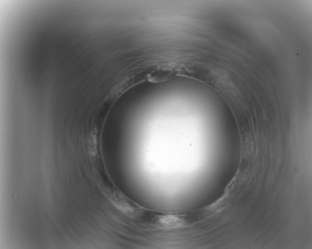 X0000068770183200605051641