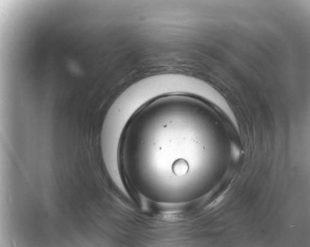 X0000068770184200605051641