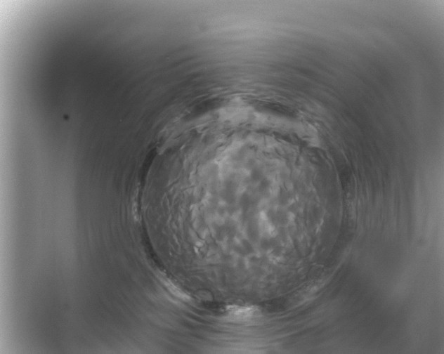 X0000068770185200605051641