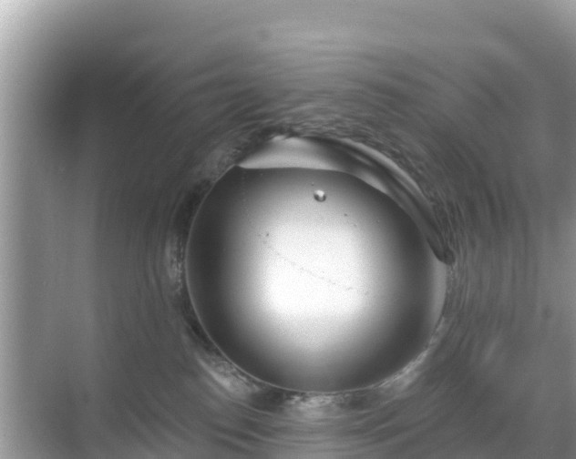 X0000068770186200605051641