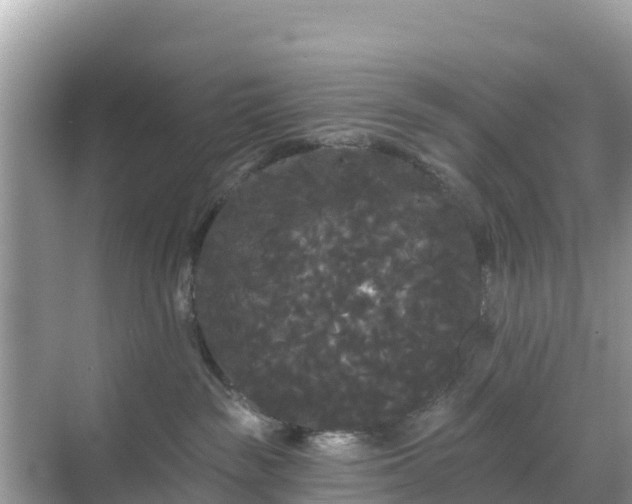 X0000068770189200605051641