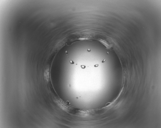 X0000068770190200605051641