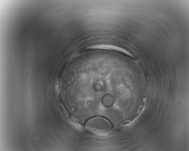 X0000068770191200605051641