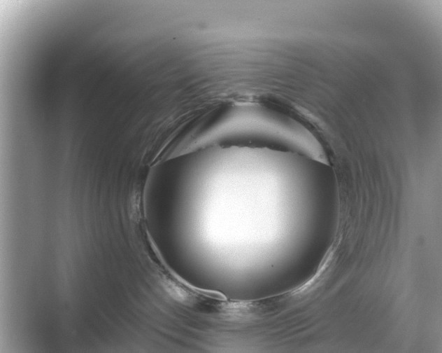 X0000068770192200605051641