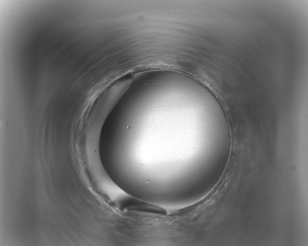 X0000068770193200605051640