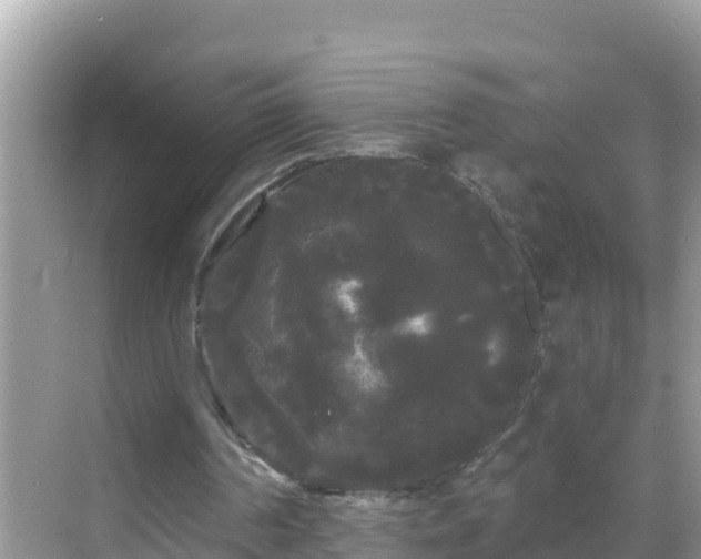 X0000068770194200605051640