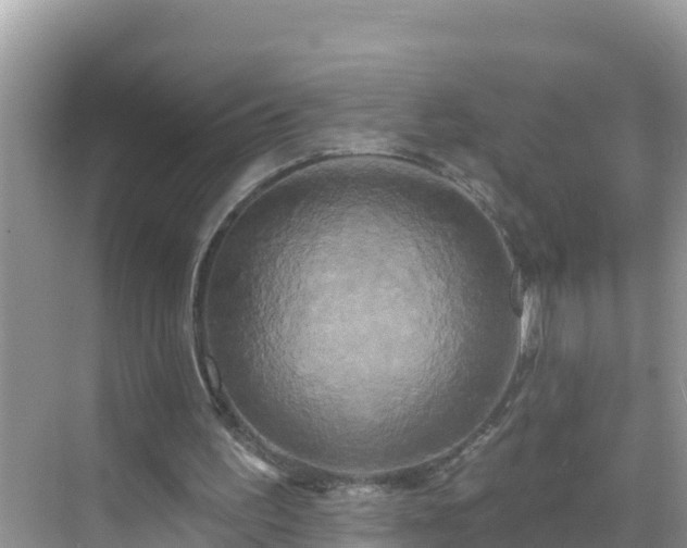 X0000068770195200605051640