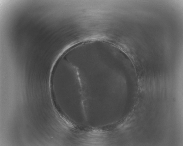 X0000068770196200605051640