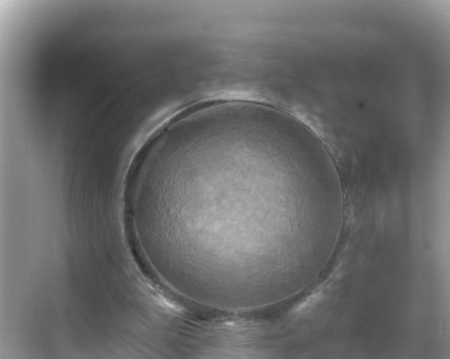 X0000068770199200605051640