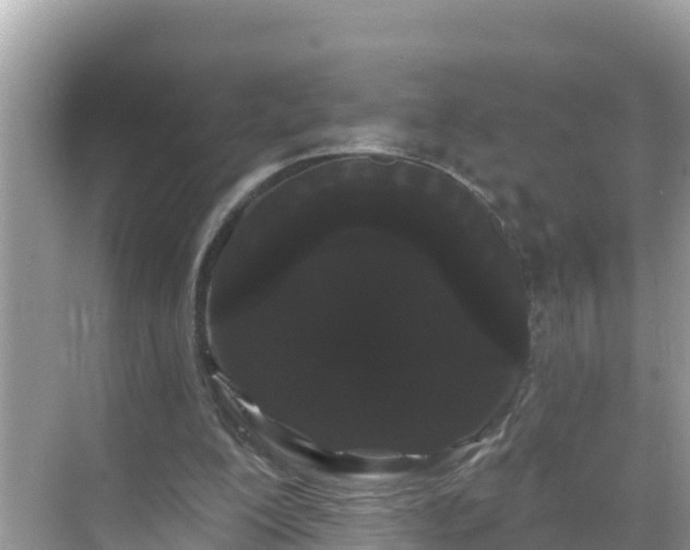 X0000068770200200605051640