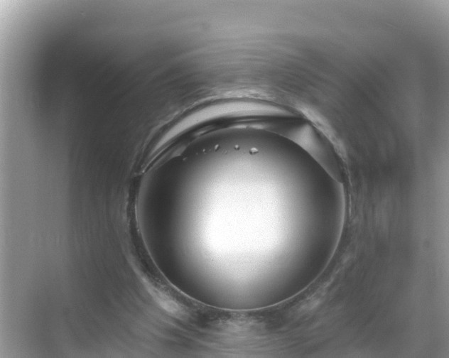 X0000068770201200605051640