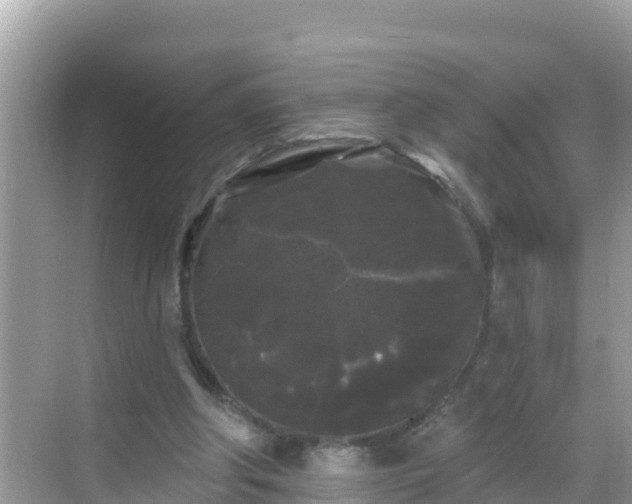 X0000068770202200605051640