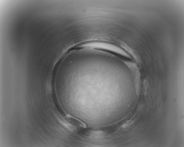 X0000068770203200605051640